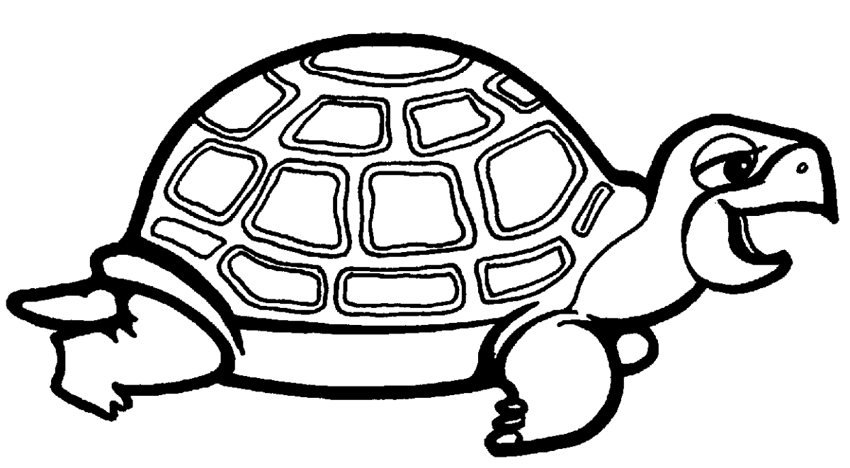 Dibujo de Tortugas para colorear